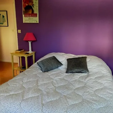 House With Garden In - Quiet Area 3* Biarritz